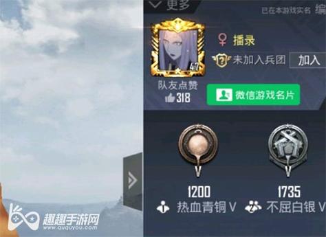 和平精英「小提琴」直装辅助